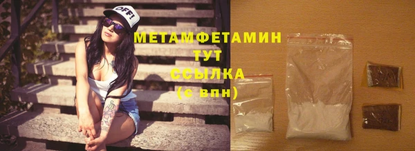 сатива Бородино