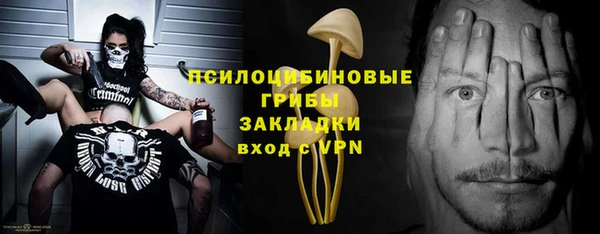 сатива Бородино