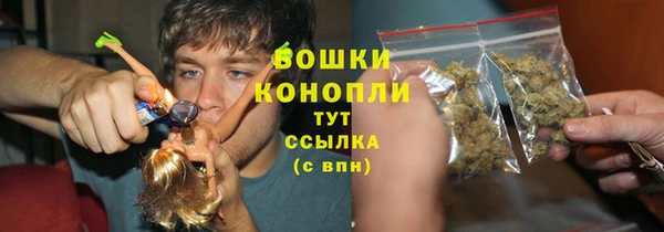 сатива Бородино