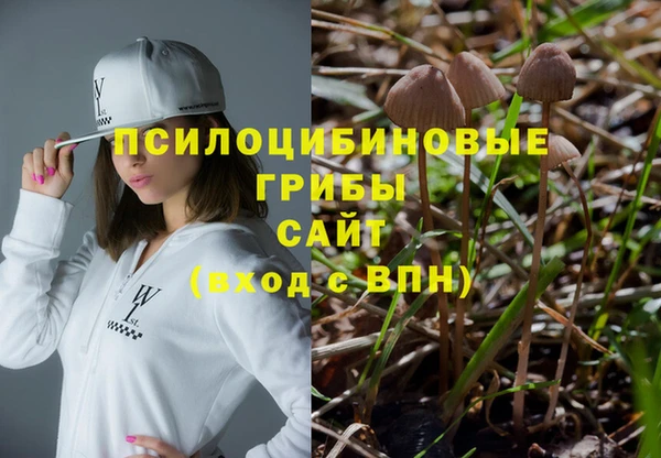прущая мука Бронницы