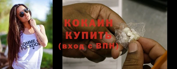 2c-b Богородицк