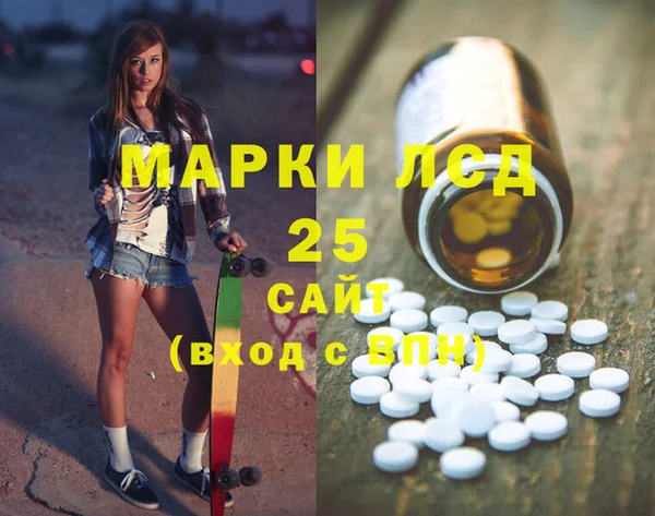 сатива Бородино